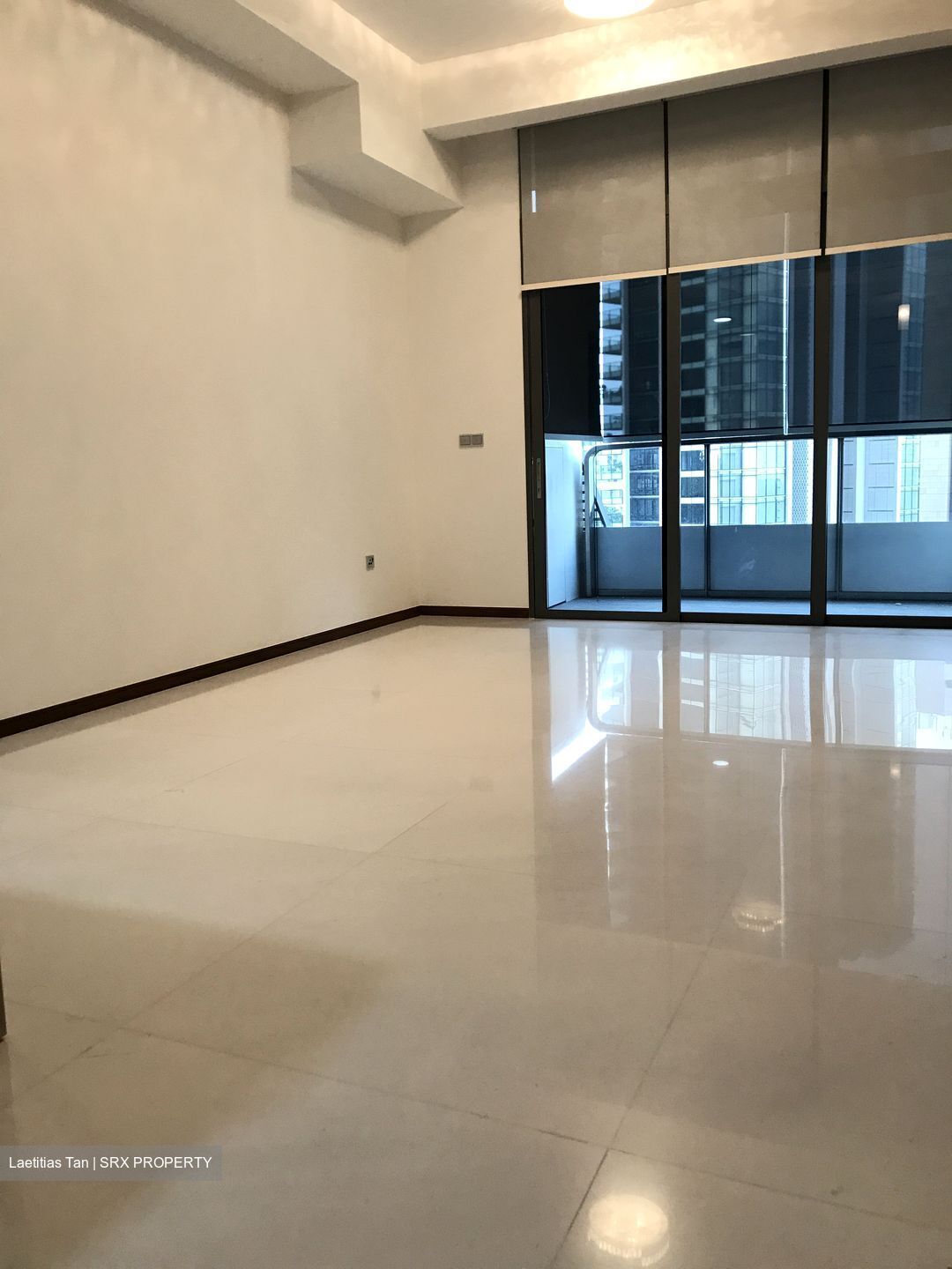 The Scotts Tower (D9), Condominium #377595611